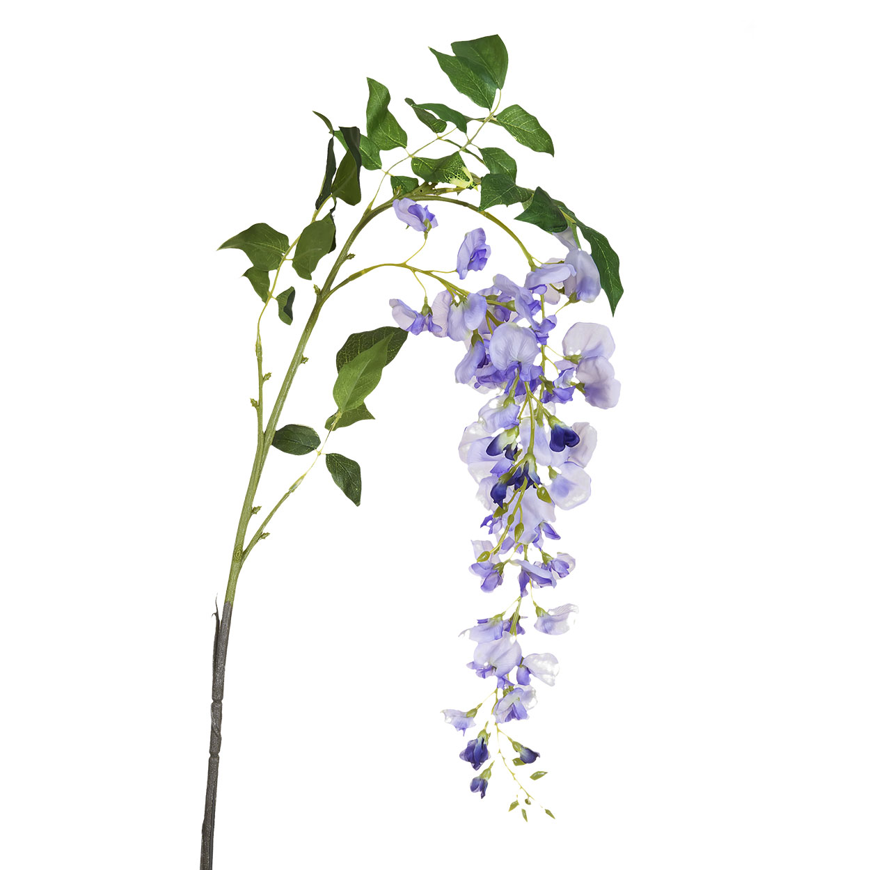 9F27434-2088 Глициния сиреневая, 142см (18)_s2 1