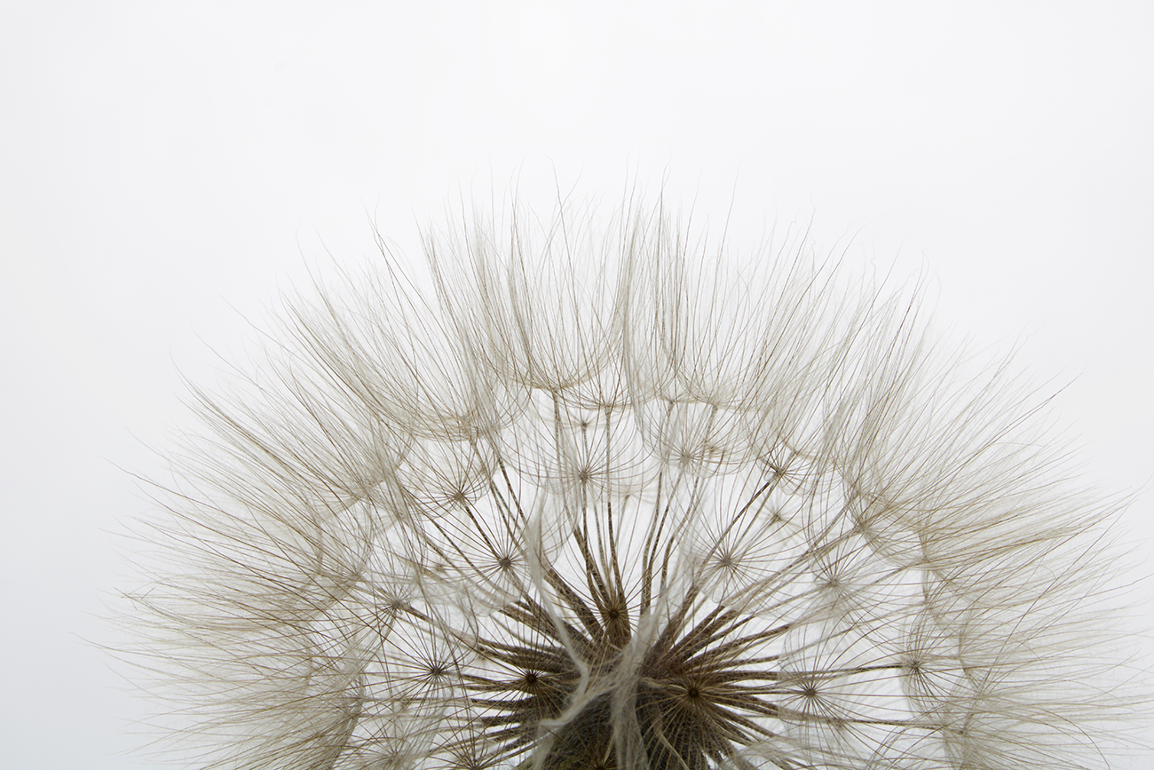 54STR-TENDER Холст «Нежность» 46х69 см, паспарту,  багет кэнвес_s2 1