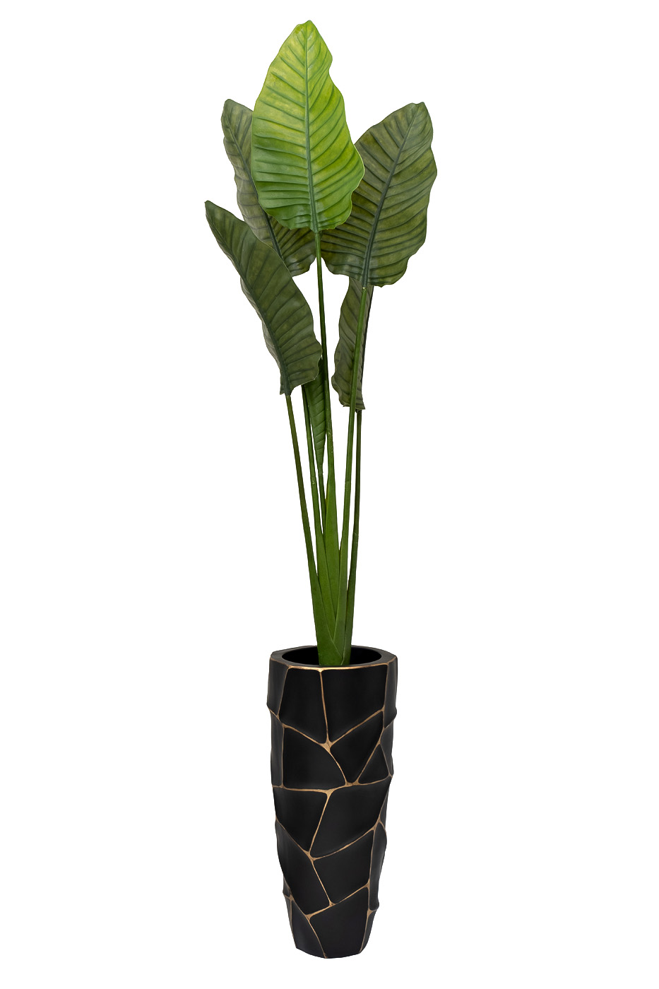 29BJ-942  Дерево путешественников в горшке h163см_s2 2