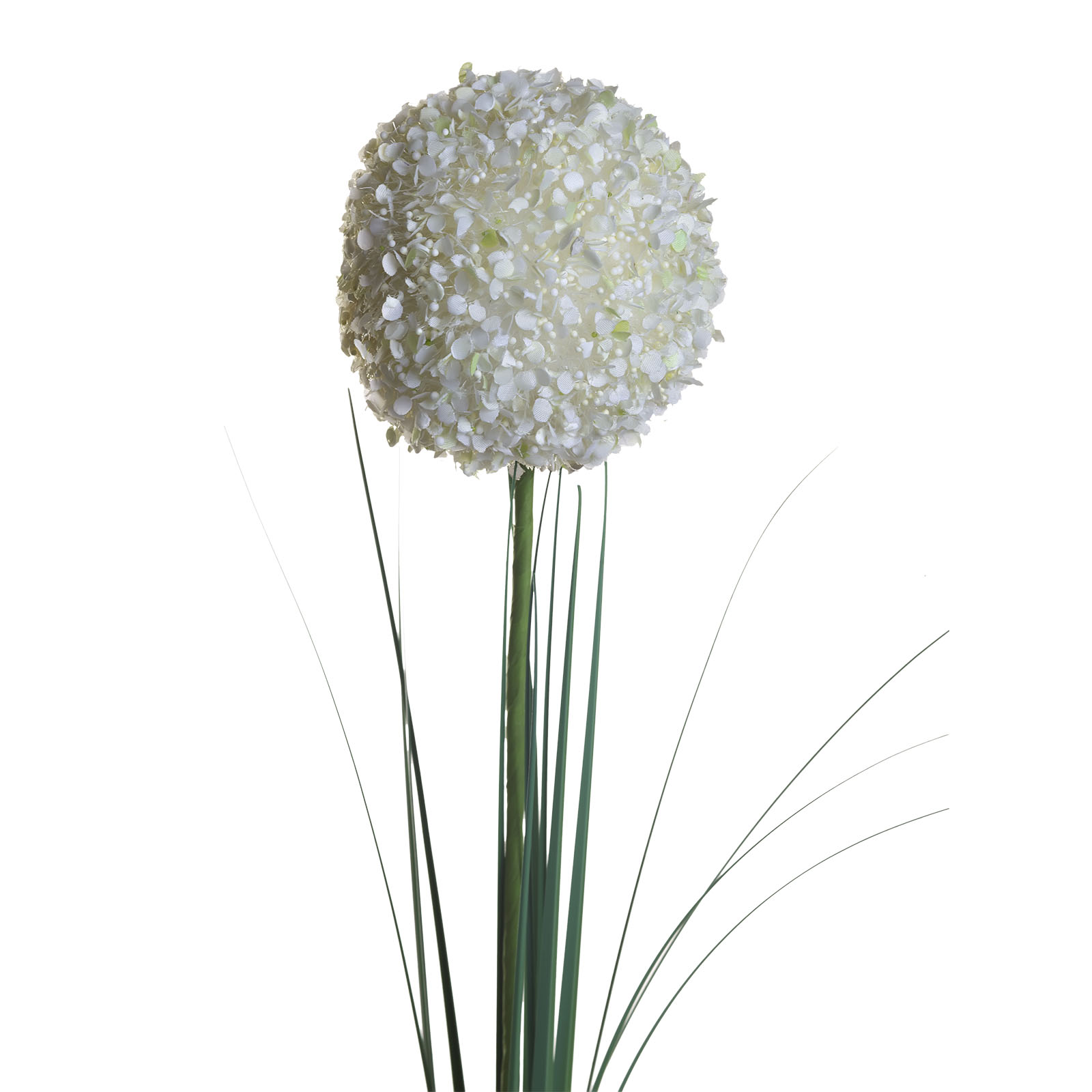 8J-13RS0014 Алиум кремовый 80 см (24)_s2 1