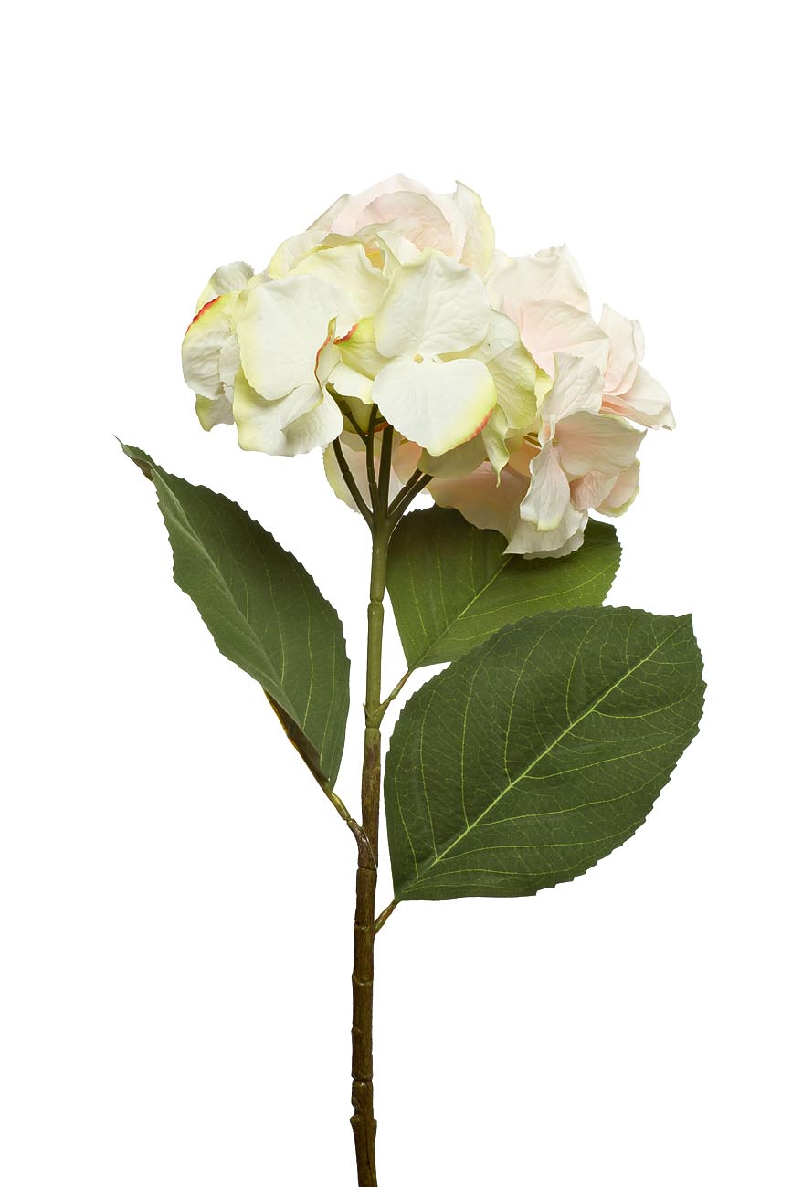 9F28060MK-4838 Гортензия светло-розовая, 62см_s2 1