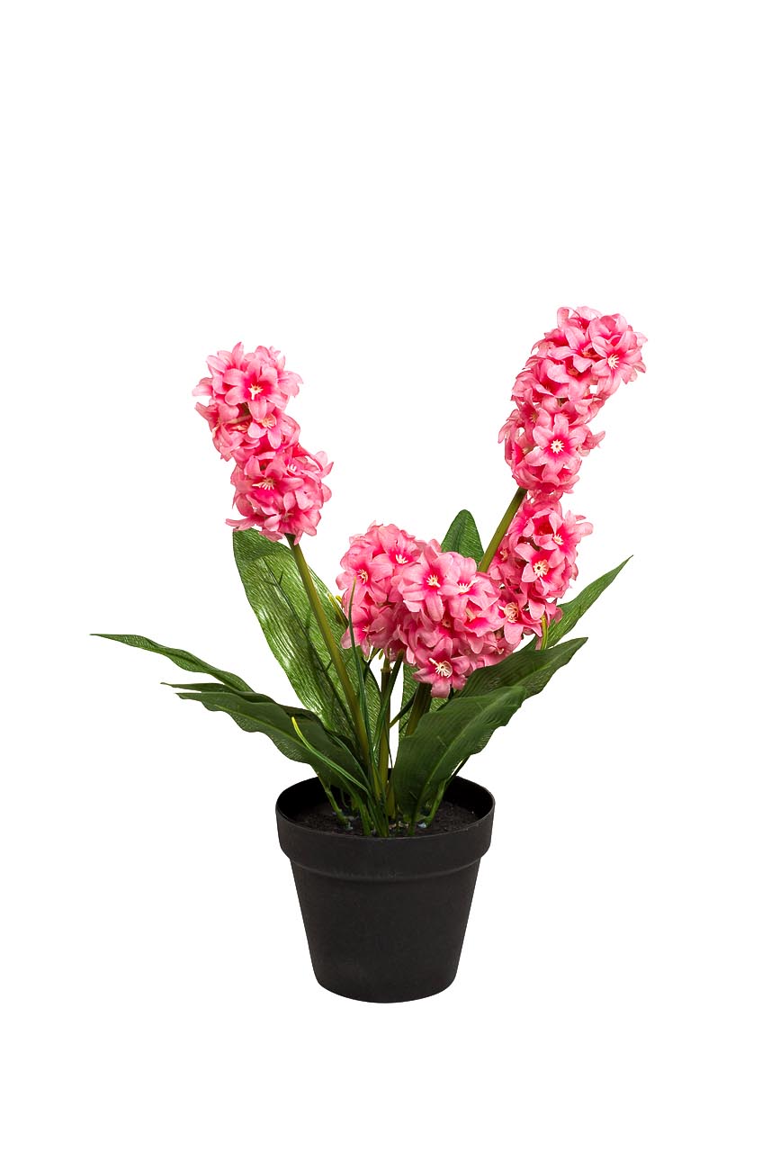 8J-K0013/1 Гиацинт в горшочке розовый 40 см (6)_s2 1