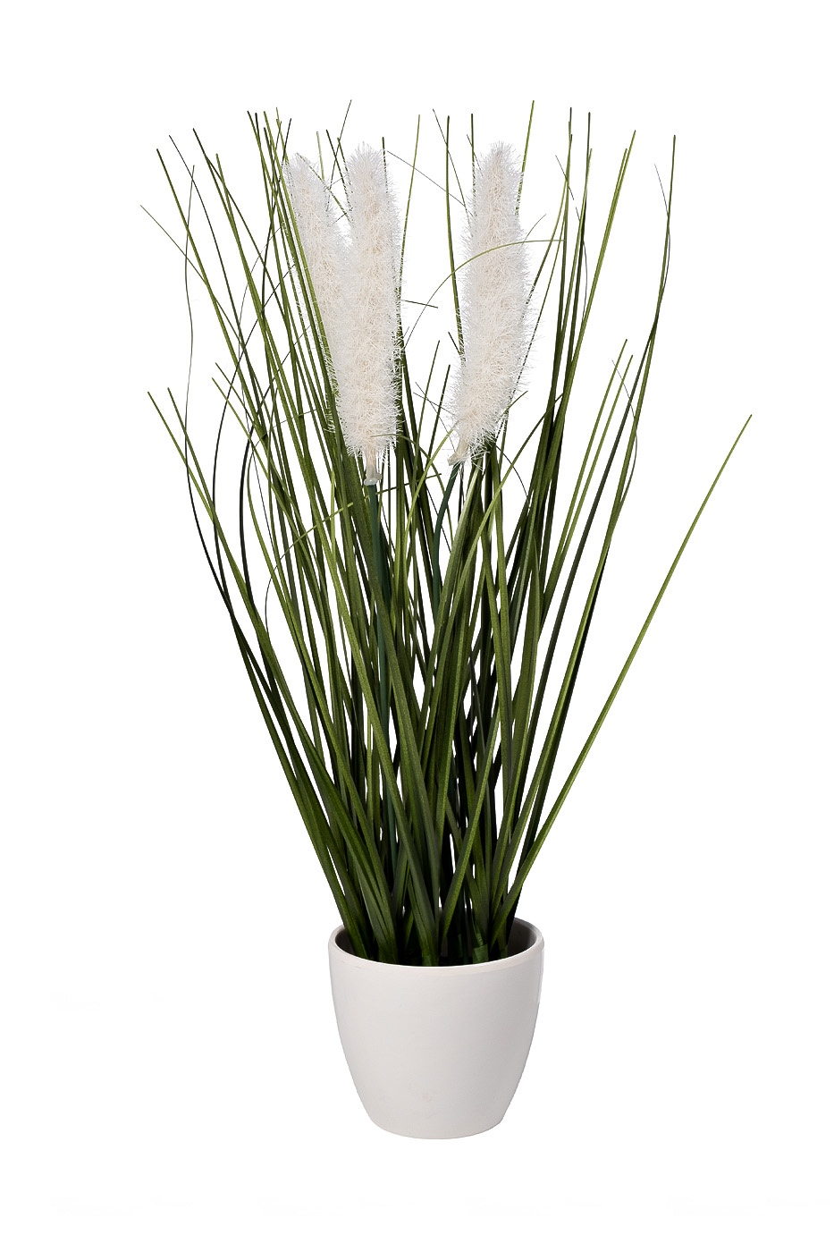 8J-20RK0006-WH Тростник декоративный белый в горшке H38см(12)_s2 1