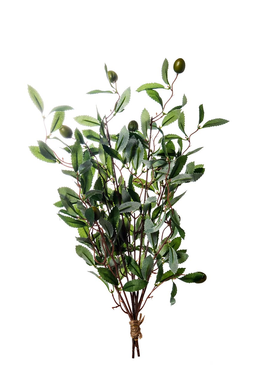 8J-1716 Ветка оливы 43 см (12)_s2 1