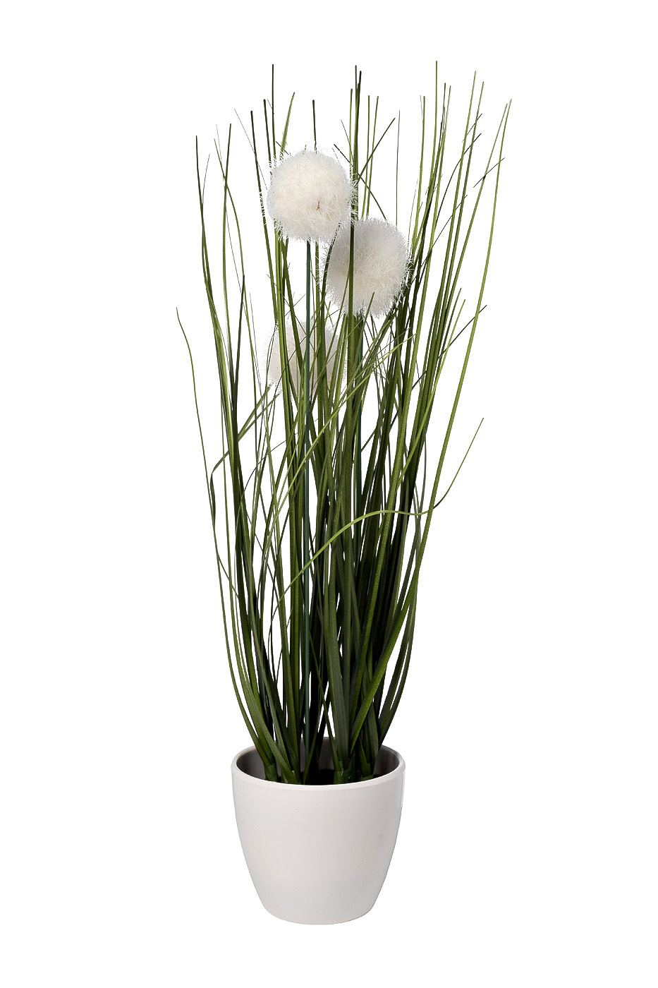 8J-20RK0005-WH Алиум белый в горшке H38см(12)_s2 1