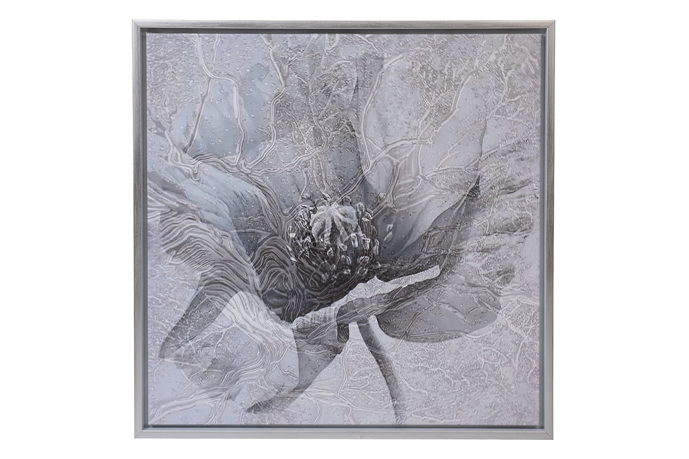 89VOR-AQUARELLE39 Холст «Голубой мак» 80*80 см,багет кэнвес, серебро_s2 1