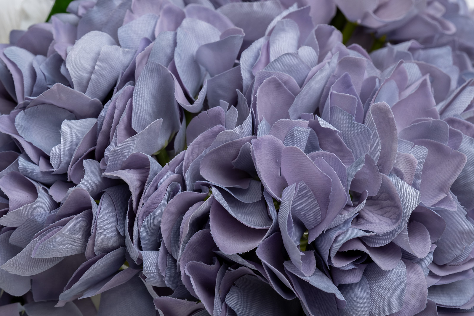 96CN-RB0050 Диффузор Hydrangea&Rosebud blue , спрей Winter in Chateau 2*10 ml в упак._s2 2