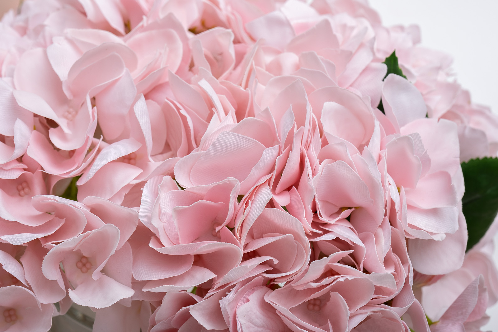 96CN-RB0020 Диффузор Hydrangea&Rosebud pink , спрей Eau de vie 2*10ml в упак._s2 2