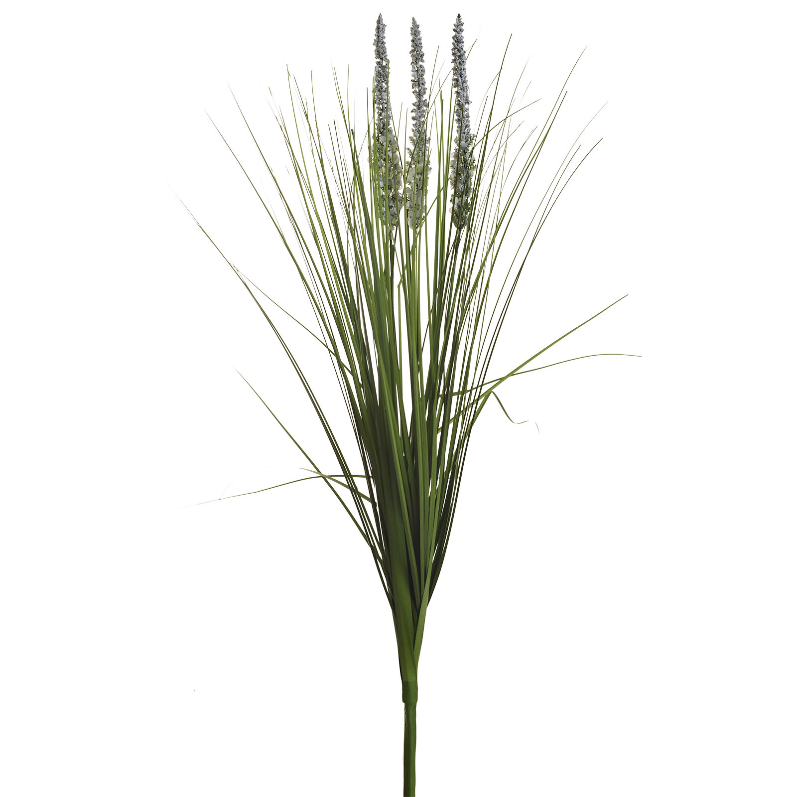 8J-12RB0003 Вейник остроконечный зеленый 70 см(12)_s2 1