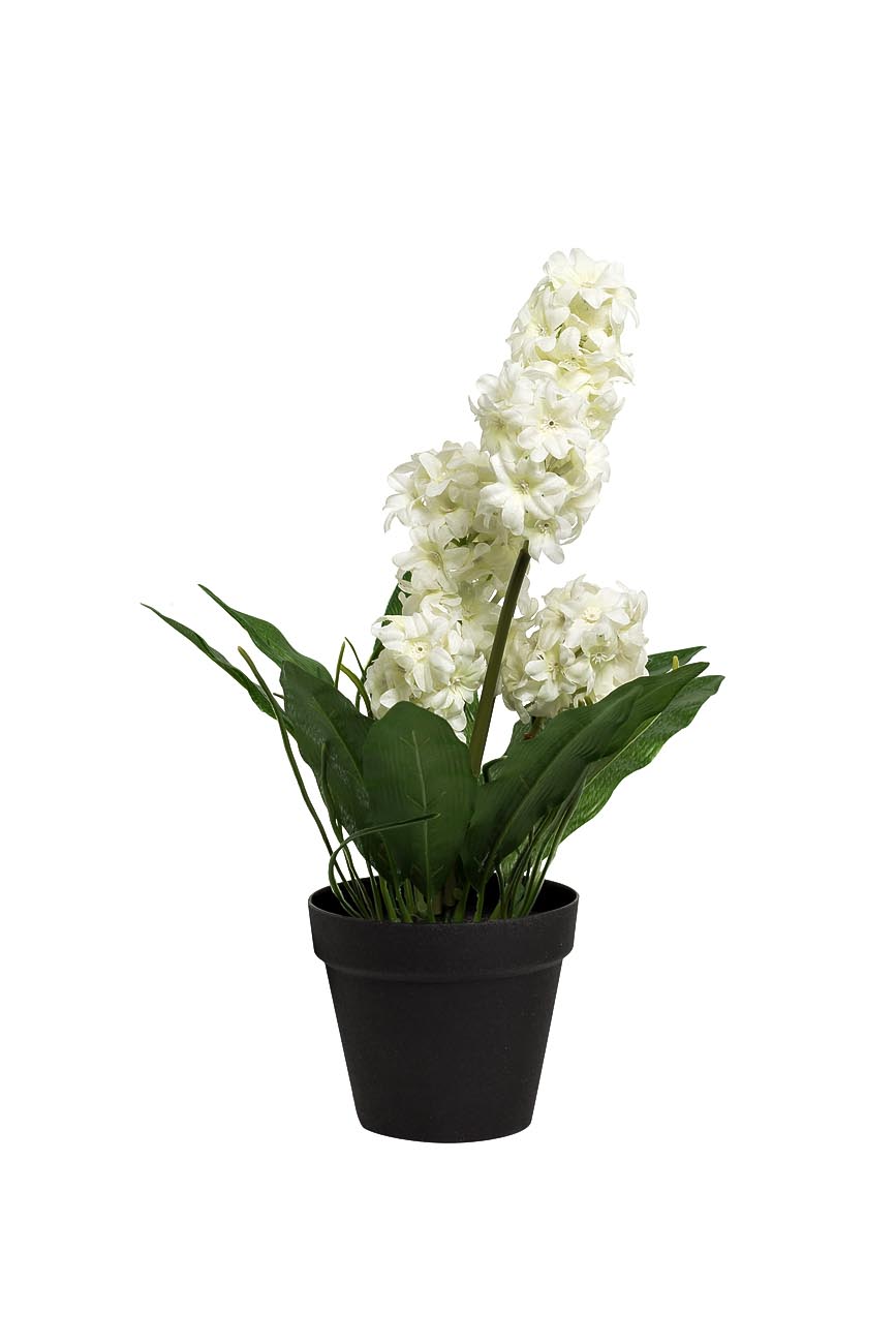 8J-K0013/2 Гиацинт в горшочке белый 40 см (6)_s2 1