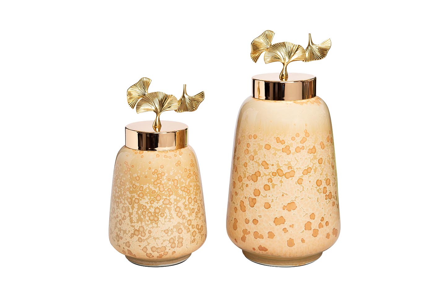 55RD4045L Ваза керамич. с крышкой «Гинкго» d19*37см_s2 2