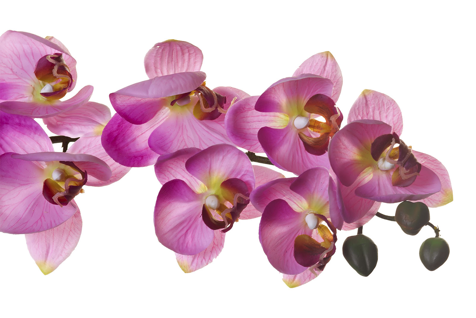 8J-1219S0004 Орхидея розовая 85 см (12)_s2 2