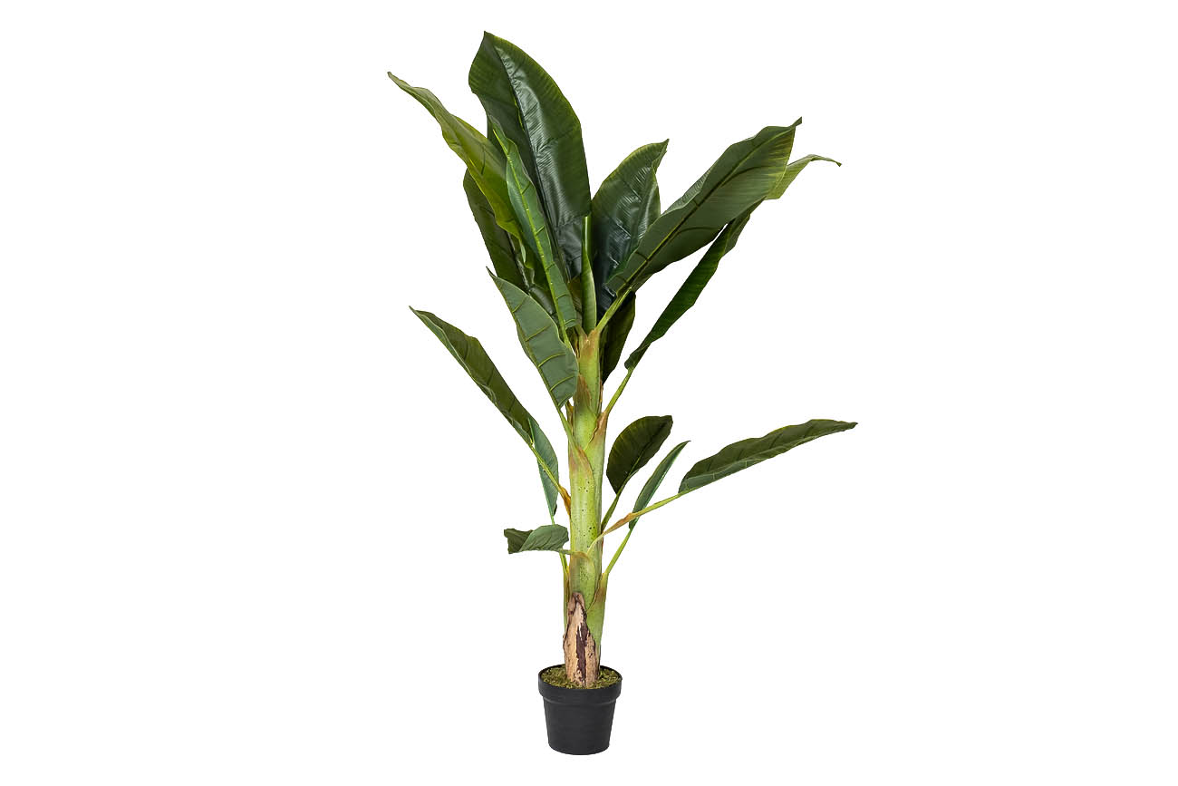 29BJ-803-17 Банановый куст h135 см_s2 1