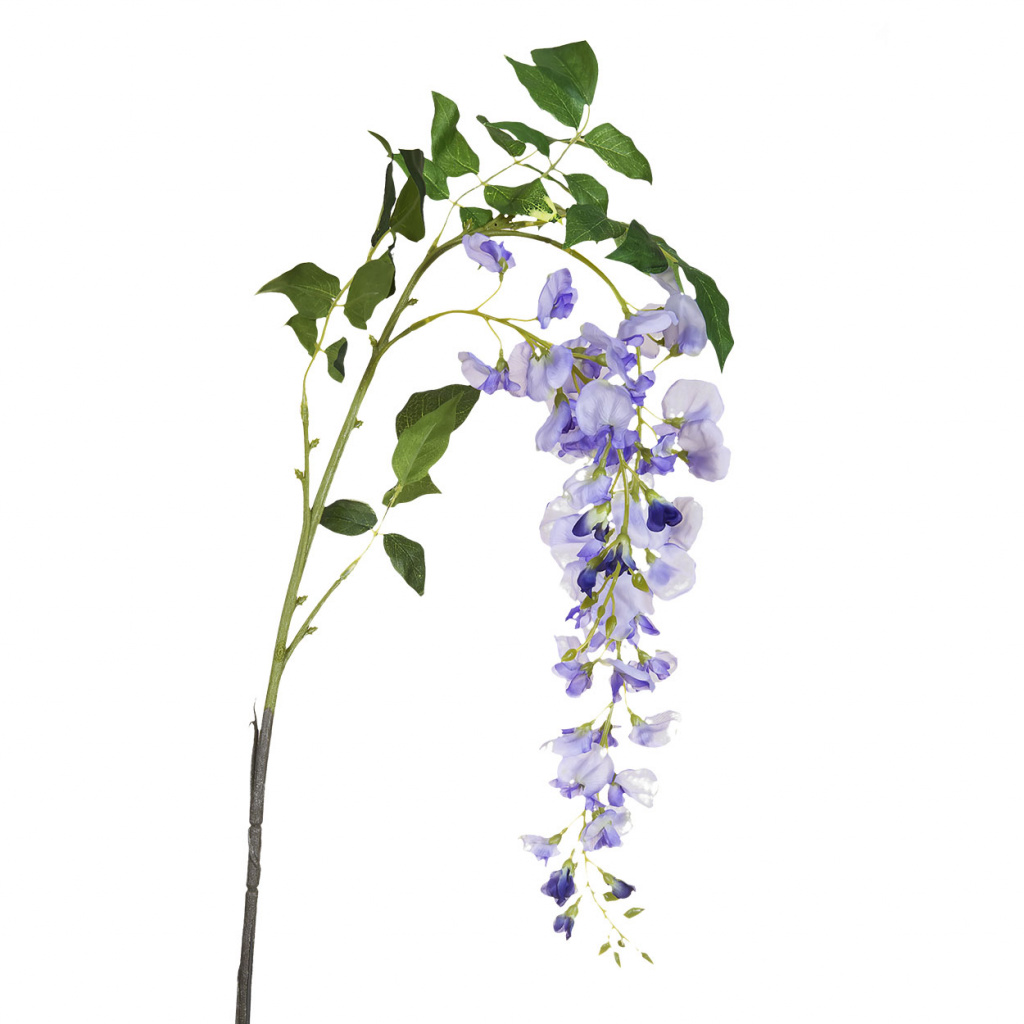 веточка.jpeg 00002219_1.jpeg