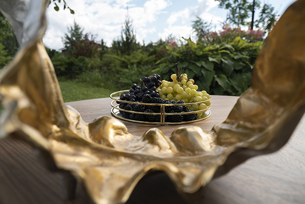 5.jpeg DSC02284.jpeg