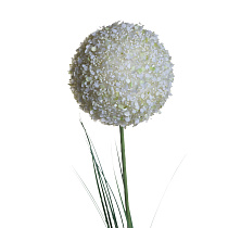 8J-13RS0012 Алиум малый кремовый  78см (36)_s2