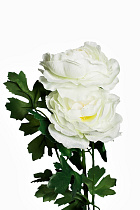 8J-13GS004-2 Пион белый 62 см (12)_s2