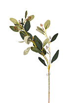 9F28558-GR Веточка эвкалипта с цветами листья зеленые 72см(24)_s2