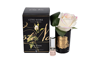96CN-RB42 Диффузор Роза св.розовая (Rose Bud Pink), спрей Лепесток роз (Rose Petal) 5мл в упак._s2