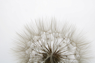 54STR-TENDER Холст 