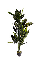 29BJ-819-170 Диффенбахия искусственная в горшке h170см_s2 1 (превью)