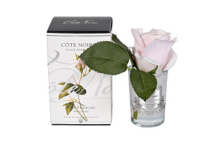 96CN-R46 Диффузор Роза св.розовая (Rose Bud French Pink),спрей Гардения (White Gardenia) 5мл уп_s2