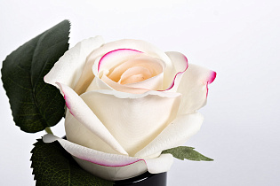 96CN-RB42 Диффузор Роза св.розовая (Rose Bud Pink), спрей Лепесток роз (Rose Petal) 5мл в упак._s2