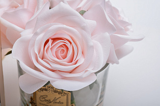 96CN-RB660 Диффузор Пять розовых роз(Five Rose Pink),спрей Зима в шато(Winter in Chateau) 10мл в уп._s2