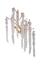 86-80853 Бра 40*h.40 см, металл цвет золото_s2