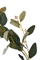 9F28558-GR Веточка эвкалипта с цветами листья зеленые 72см(24)_s2