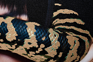 89VOR-GIRL/SNAKE-1 Холст 