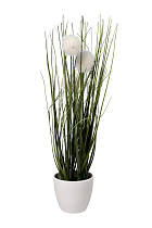 8J-20RK0005-WH Алиум белый в горшке H38см(12)_s2