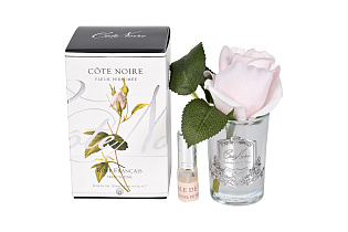 96CN-R46 Диффузор Роза св.розовая (Rose Bud French Pink),спрей Гардения (White Gardenia) 5мл уп_s2