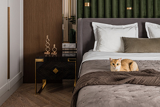 Проект квартиры в ЖК «Символ» 0(превью)