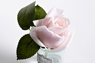 96CN-R46 Диффузор Роза св.розовая (Rose Bud French Pink),спрей Гардения (White Gardenia) 5мл уп_s2