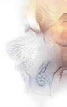 89VOR-AQUARELLE24 Холст 