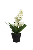 8J-K0013/2 Гиацинт в горшочке белый 40 см (6)_s2