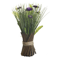 8J-12AK0002 Букет маргариток фиолетовых  30 см  (12)_s2