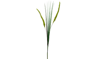 8J-15RS0006 Веточка камыша 75 см (48)_s2 2 (превью)