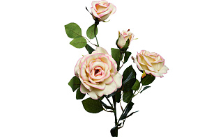 9F27009M-4303 Роза чайная, 80см (12)_s2 1 (превью)