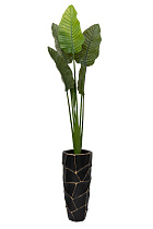 29BJ-942  Дерево путешественников в горшке h163см_s2