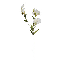9F27051-1499 Лизиантус белый, 78см (36)_s2