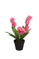 8J-K0013/1 Гиацинт в горшочке розовый 40 см (6)_s2