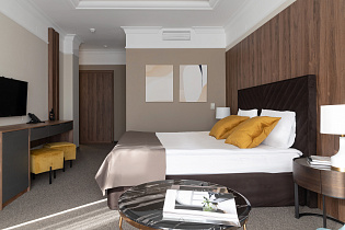 Комплектация 60 номеров в Аппарт-отеле «Аркадия» 14(превью)