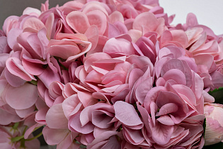 96CN-RB0040 Диффузор Гортензия лилов.(Hydrangea&Rosebud),спрей Ш.роза(Charente rose) 2*10ml в уп._s2