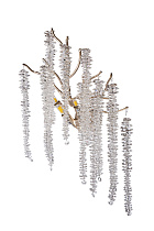 62GDA-8085/3 Бра розовое золото 40*h.40 см_s2