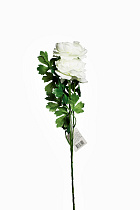 8J-13GS004-2 Пион белый 62 см (12)_s2