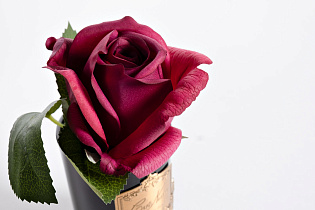 96CN-RB44 Диффузор Роза красная (Rose Bud Red), спрей Лепесток Роз (Rose Petal) 5мл в упаковке_s2